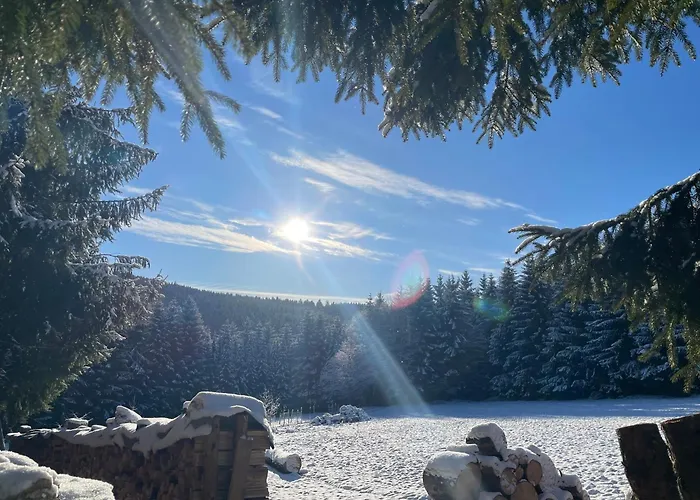 شاليه Fuchs & Has' *