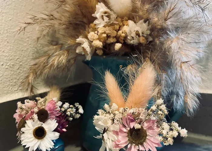 شاليه Fuchs & Has'